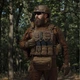 Комплект снаряжения Vest Ukrarmor Full (based on IBV) S/M 1-го класса защиты. Койот - изображение 2
