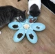 Пластиковая миска для корма и воды "Flower" 6в1 антискользящая поилка - миска для выкармливания котят / щенков, голубая "G" (88089130) - изображение 2