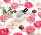 Туалетна вода для жінок Diptyque Eau Rose 100 мл - зображення 4