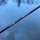 Фідерне вудилище Feima Premacy-X River Feeder 3.9 m (200 г) - зображення 3