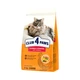 Сухой корм для кошек, CLUB 4 PAWS (КЛУБ 4 ЛАПЫ), вывод шерсти, 2 кг (Курица) - изображение 1