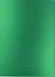Записная книжка Caran d'Ache Colormat-X А5 120 страниц в линейку Зеленый (7630002354011) - изображение 3