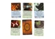Настольная игра White Games & Geekach Games Ужас Аркхэма. Третье издание: Во мраке ночи (Arkham Horror: Dead of Night) (укр.) (GKCH058AH31) - изображение 6