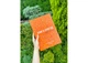 Книга Пригод для дітей (укр.) (ВР_КПДД) - зображення 7
