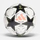Футбольний м'яч Adidas Champions League 24/25 Junior 290 Розмір-5 IX4058 - зображення 1