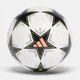 М'яч футбольний adidas Champions League 24/25 Trainig Размер 5 (Art: IX4062) - зображення 1