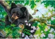 Пазл Castorland puzzle Хотів би я вміти літати, 500 ел. (53629) - зображення 2