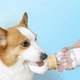 Портативная бутылка поилка для воды для собак и котов походная прогулочная переносная Контейнер для корма и воды для домашних животных Дорожная миска для воды PLK-S-Y - изображение 2