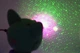 Проектор ночник звездное небо космическая собака Nebula Dog Projector - изображение 2