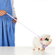 Інтерактивна іграшка Moose Мій улюбленець Маленьке ягня Little Live Pets - зображення 6