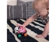 Погремушка Oball. Curious Car Zen, Baby Einstein, 16772 - изображение 3