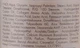 Автозасмага на натуральній основі для тіла - Verde Sun Tan 150ml (1279111-31018745) - изображение 2