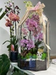 Флораріум з орхідеєю Plants room XL - изображение 2