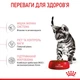 Сухий корм для кошенят, Royal Canin, KITTEN STERILISED, 0,4 кг - зображення 3
