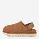 Жіночі сабо UGG Goldenstar Clog W 1138252-CHESTNUT 39 Коричневі (196565243447) - зображення 2