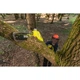 Цепная пила Ryobi высоторез RY36PP25A-0 36V, MAX POWER, шина 25см, 3м, 4.3кг (без АКБ и ЗУ) (5133005786) - изображение 6