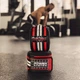 Бинты на колени Power System PS-3700 Knee Wraps красно-черные (PS-3700_Red-Black) - изображение 5