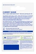Бальзам-уход для губ NIVEA Cherry Shine 4.8 г (4006000002071) - изображение 7