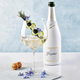 Вино ігристе Freixenet ICE біле напівсухе 0.75 л 11.5% (8410036805807) - зображення 2