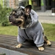 Одежда для собак "Teddy Sweatshirt Grey". SKU 004791. Размер S. Your Stylish Hunter. Худи для собак для французского бульдога, мопса, спаниеля и прочих. - изображение 3