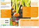 Гербицид Пермаклин Ликвид 100 мл Protect Garden - изображение 2