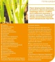 Гербицид Пермаклин Ликвид 100 мл Protect Garden - изображение 4