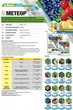 Фунгицид Метеор 30 г Adiant+ - изображение 2
