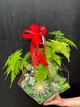 Флораріум "Plants room" капля h 40 см - изображение 1