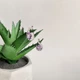 Срібні сережки з натуральним аметистом 5.312ct (2163329) - зображення 7