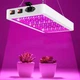 Фітолампа для рослин, ефективність 2000W, споживання 30W на 312 led діодів, 3 режими світіння повного спектру - зображення 8