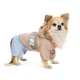 Дощовик для собак Pet Fashion Tina L - изображение 1