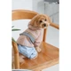 Дощовик для собак Pet Fashion Tina L - изображение 7