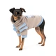 Худі для собак Pet Fashion Home XS-2 - изображение 1