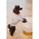 Худі для собак Pet Fashion Home XS-2 - изображение 7