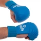 Перчатки накладки для каратэ DAEDO GO-5076 S-L Синий - изображение 1