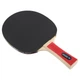 Набор ракетки для настольного тенниса Donic Applegren 300 2-Player Set 788634S ̣̣̣̣̣̣̣̣(Оригинал) - изображение 3