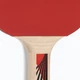 Ракетка для настольного тенниса Donic-Schildkrot Legends 600 FSC 724416 (Оригинал) - изображение 7