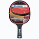 Ракетка для настольного тенниса Donic-Schildkrot Protection Line 300 (Оригинал) 703054 - изображение 1
