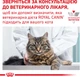 Упаковка вологого дієтичного корму Royal Canin для кішок при захворюваннях нижніх сечовивідних шляхів urinary S/O (скибочки в соусі) 12 шт х 85 г (40320010) (9003579027721) (9003579010044)A - изображение 9