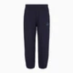 Спортивные штаны мужские Armani Exchange 490376768 L Синие (1159811961) - изображение 5