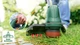 Тример Bosch EasyGrassCut 26 (06008C1J01) - изображение 3