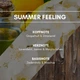 Ароматичний освіжувач повітря REIMA Summer Feeling 250 мл - зображення 3