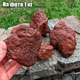 Лава вулканическая коричневая 5-10см 1кг - изображение 3