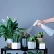 Пульверизатор Xiaomi Xiaoda Electric Watering Can 900ml (XD-DDPH01) [63439] - зображення 3