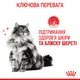 Сухой корм для кошек Royal Canin Hair and Skin Care Здоровья кожи и шерсти, 4 кг - изображение 6