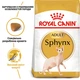 Сухой корм для взрослых кошек породы Сфинкс Royal Canin Adult Sphynx, 2 кг - изображение 2