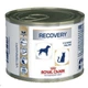 Лечебные консервы для собак и кошек Royal Canin Recovery (мус) , 195 г - изображение 5