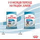 Сухой корм для щенков гигантских пород Royal Canin Giant Puppy, 15 кг - изображение 9