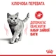 Сухой корм для кошек склонных к ожирению Royal Canin Light Weight Care, 1.5 кг - изображение 6