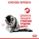 Сухой корм для кошек Royal Canin Hairball Care Выведения шерсти, 400 г - изображение 6